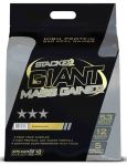 Giant Mass Gainer Giant Mass Gainer